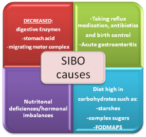 SIBO-causes