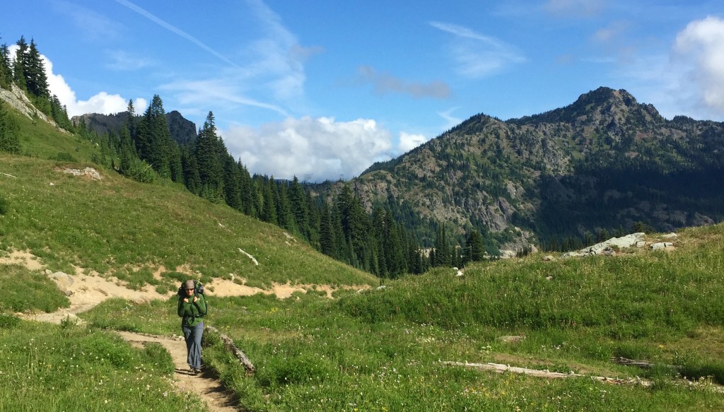 Heading down the PCT