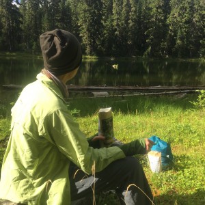 Dinner by the lake