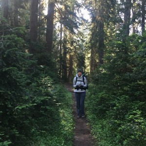 Early morning on the Laughingwater Creek Trail