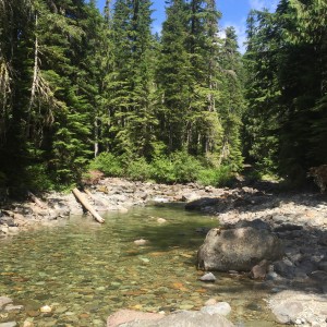Chinook Creek at Deer Creek Camp
