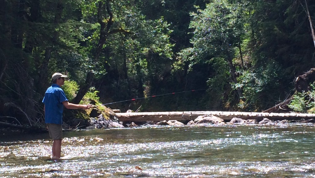 Tenkara on the Ohanapecosh